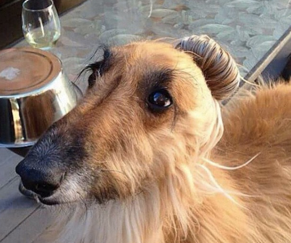 Screen shot 2015-08-07 at 8.28.21 PM