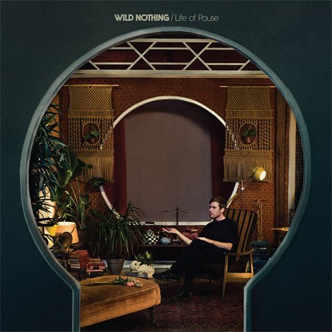 241115_wildnothing