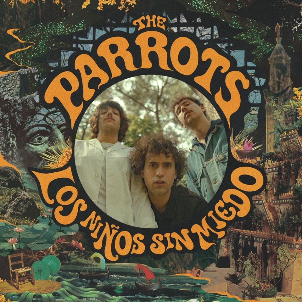 050716_parrots2