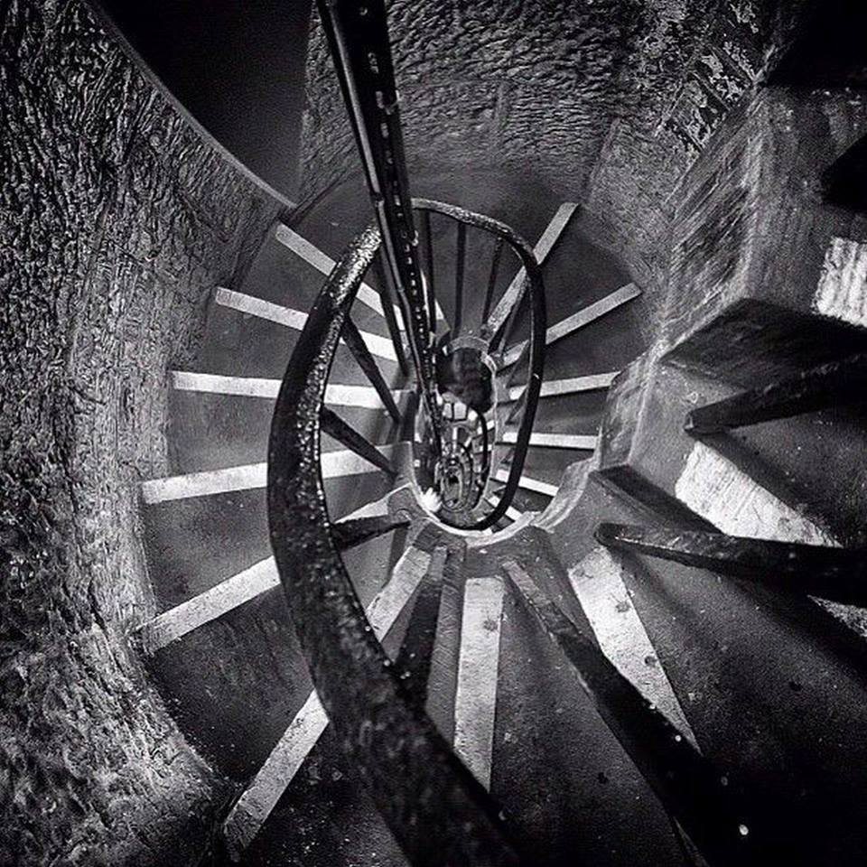 14192534_1157587057632626_5317339158721681485_n