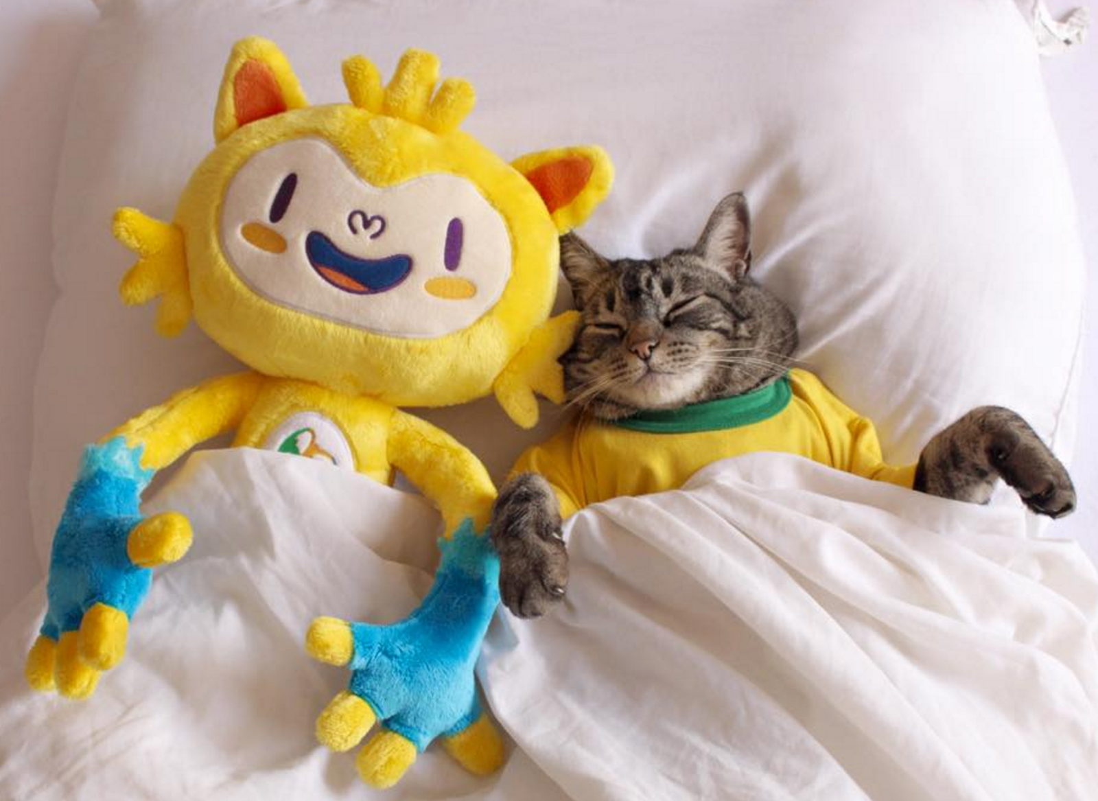 Screen Shot 2016-09-09 at 19.32.54