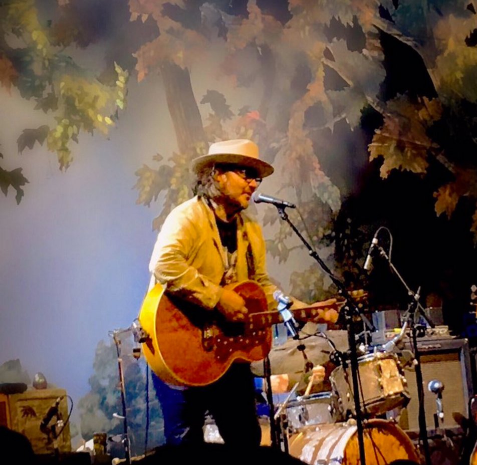 wilco1