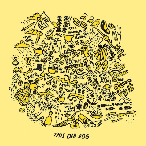 MacDeMarco_ThisOldDogcapa