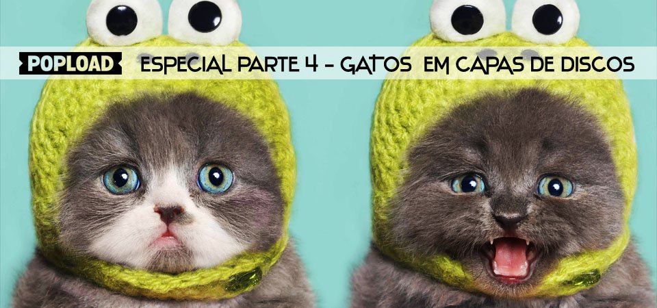 gatos4_slider