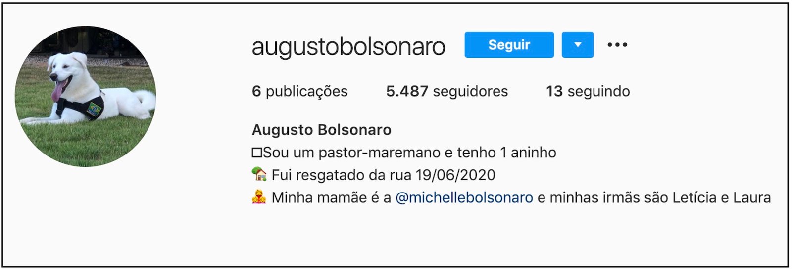 augusto-bolsonaro